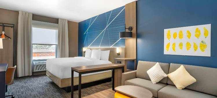 新港锐西市区的英特集团舒适酒店(Comfort Inn & Suites New Port Richey Downtown District)图片
