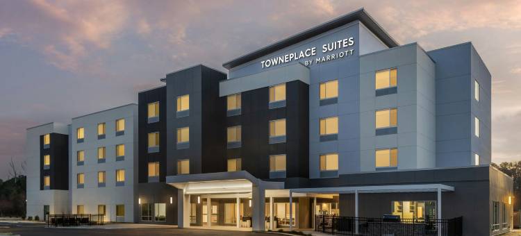 万豪纽波特纽斯机场Towneplace Suites酒店(TownePlace Suites by Marriott Newport News Airport)图片