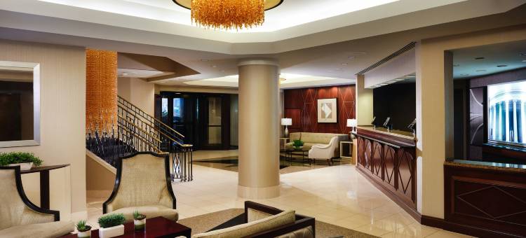阿灵顿希尔顿酒店(Hilton Arlington)图片