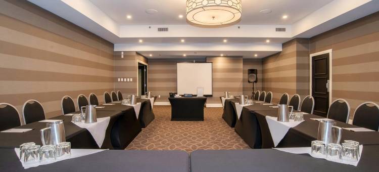 沙曼标志卡尔加里市中心酒店(Sandman Signature Calgary Downtown Hotel)图片