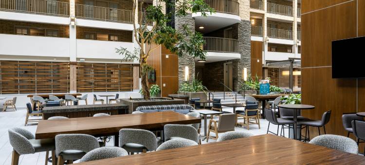 布卢明顿伊代纳希尔顿安泊酒店(Embassy Suites by Hilton Bloomington Edina)图片