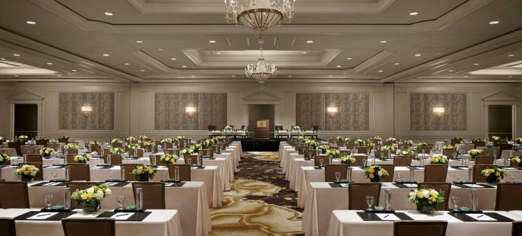 泰森斯角丽思卡尔顿酒店(The Ritz-Carlton, Tysons Corner)图片