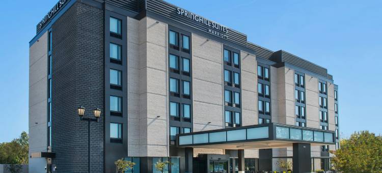 盖恩斯维尔干草市场SpringHill Suites酒店(SpringHill Suites Gainesville Haymarket)图片