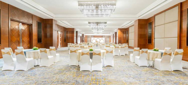 海得拉巴艾美酒店(Le Meridien Hyderabad)图片