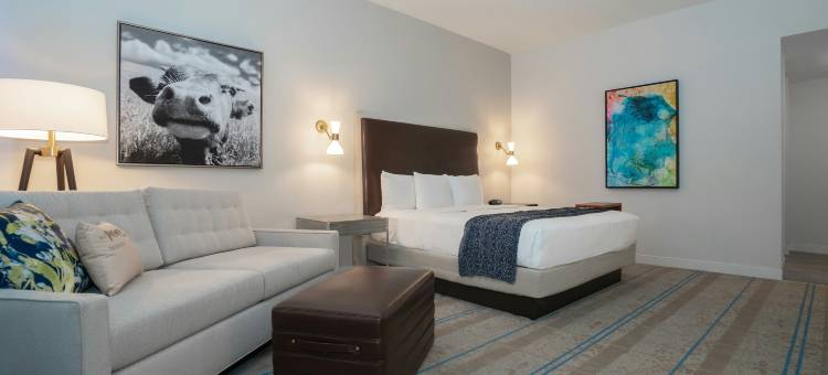 希尔顿奥斯汀机场酒店(Hilton Austin Airport)图片