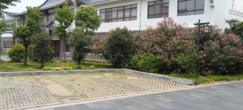 云顶商务酒店图片