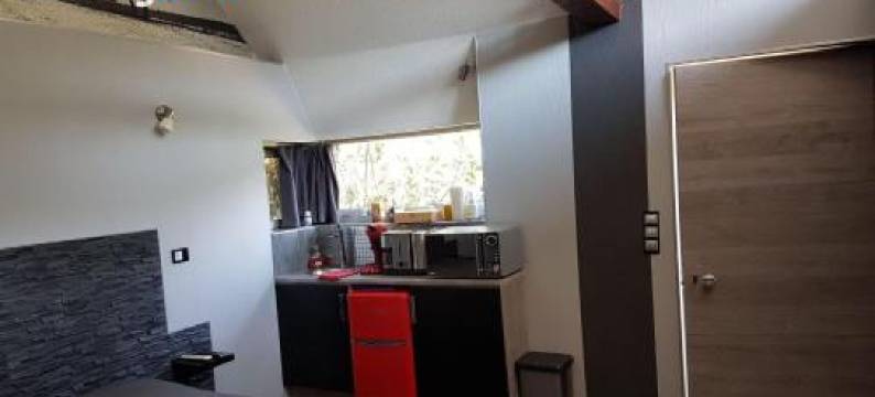 Studio MIL Roses图片