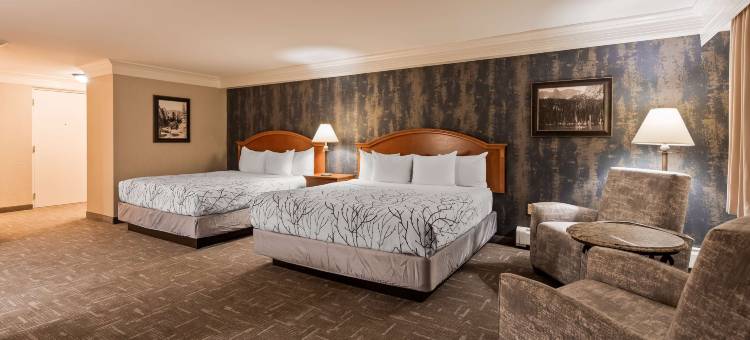 银色马鞍贝斯特韦斯特优质酒店(Best Western Plus Silver Saddle Inn)图片