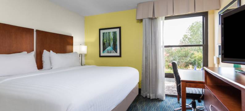 智选假日套房酒店威尔明顿，大学的点击率(Holiday Inn Express & Suites WILMINGTON-UNIVERSITY CTR by IHG)图片