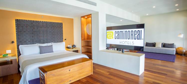 蒙特雷巴耶巴塞罗(Barceló Monterrey Valle)图片