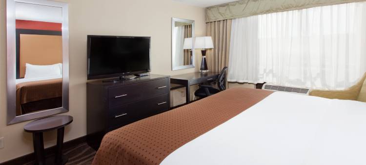 什里夫波特中心假日酒店(Holiday Inn Shreveport Downtown)图片