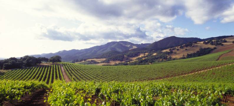 哈蒙宾馆(Harmon Guest House)图片