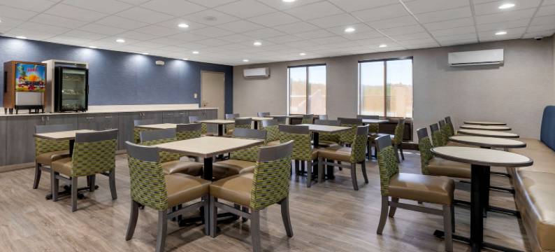 格里尔-格林维尔机场舒适套房酒店(Comfort Inn & Suites Greer - Greenville)图片