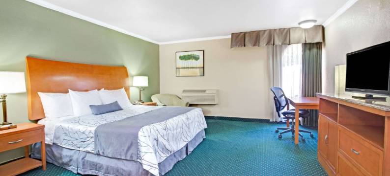 圣何塞戴斯酒店及会议中心(Days Inn by Wyndham San Jose)图片