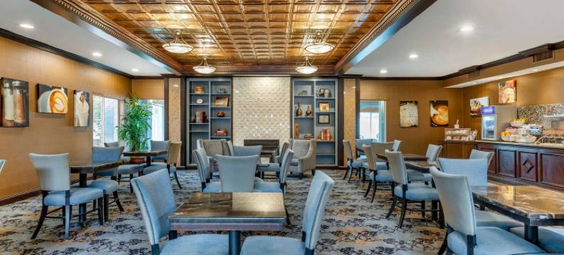 底特律绍斯盖特舒适套房(Comfort Suites Southgate-Detroit)图片