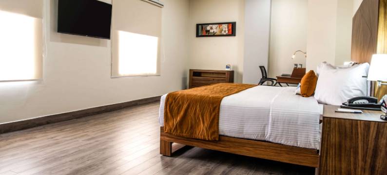 伊拉帕托舒适酒店(Comfort Inn Irapuato)图片