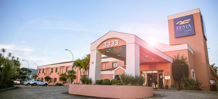 瓦尔吉尼亚菲尼克斯酒店(Fênix Hotel Varginha)图片