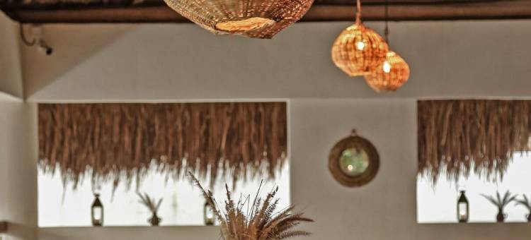 Casa Hormiga蚂蚁之家(Hotel Casa Hormiga)图片