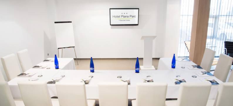 塞尔科蒂尔普拉纳公园酒店(Hotel Sercotel Plana Parc)图片