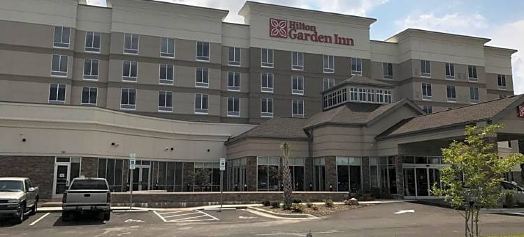 希尔顿花园酒店-杰克森维尔(Hilton Garden Inn Jacksonville)图片
