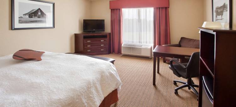 拉内特/西点欢朋酒店(Hampton Inn & Suites Lanett - West Point)图片