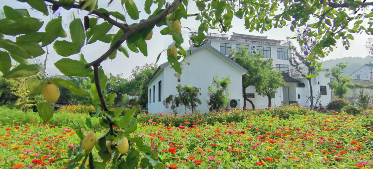 三山岛福心雅舍民宿(苏州太湖店)图片
