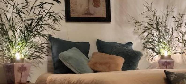 Manoir des Pélies图片