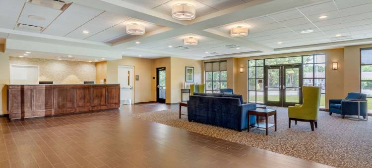 舒适套房旅馆(Comfort Inn & Suites)图片