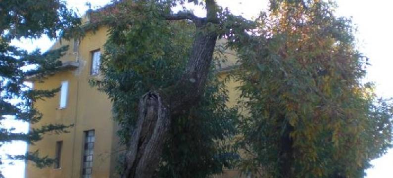 Albergo Ristorante Ragno D'Oro图片