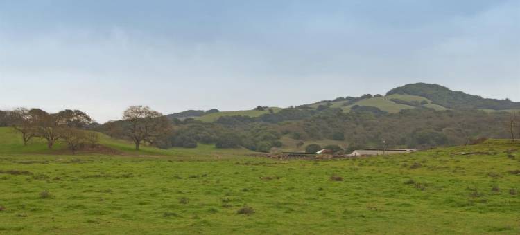 加州圣罗莎美洲最佳价值酒店(Americas Best Value Inn Santa Rosa)图片