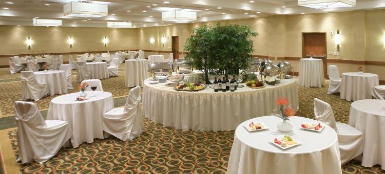 达拉斯理查森希尔顿花园酒店(Hilton Garden Inn Dallas/Richardson)图片