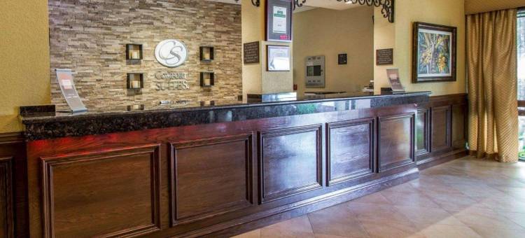 舒适套房酒店-迈阿密肯德尔(Comfort Suites Miami - Kendall)图片