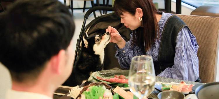 Yururi 西伊豆旅馆(Yururi Nishiizu)图片