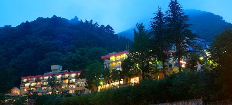 利夫马克斯度假酒店-川治店(LiVEMAX RESORT KAWAJI)图片
