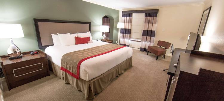 休斯顿洲际机场东华美达酒店(Ramada by Wyndham Houston InterContinental Airport East)图片
