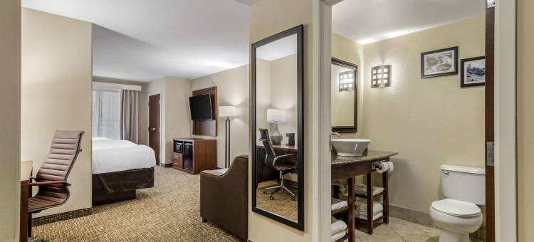 舒适套房酒店-肯纳瑟州立大学(Comfort Suites at Kennesaw State University)图片