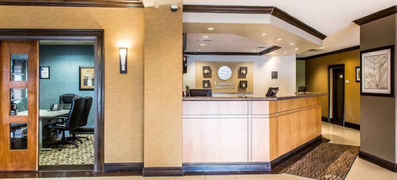 舒适套房酒店(Comfort Inn & Suites)图片