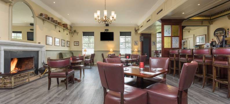 丽柏酒店-香农机场酒店(Park Inn by Radisson Shannon Airport)图片