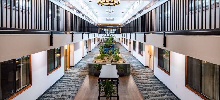 维斯塔机场贝斯特韦斯特酒店(Best Western Vista Inn at the Airport)图片