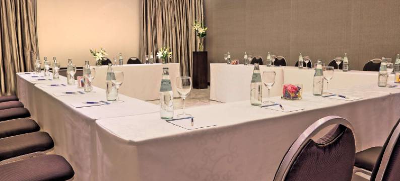 NH布宜诺斯艾利斯探戈酒店(NH Buenos Aires Tango)图片