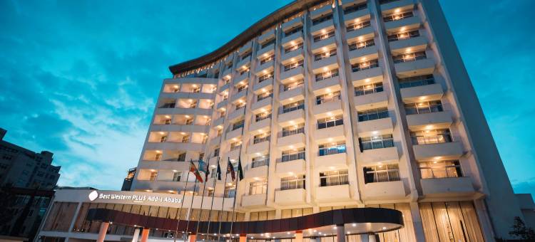 贝斯特韦斯特优质亚的斯亚贝巴巴优质酒店(Best Western Plus Addis Ababa)图片