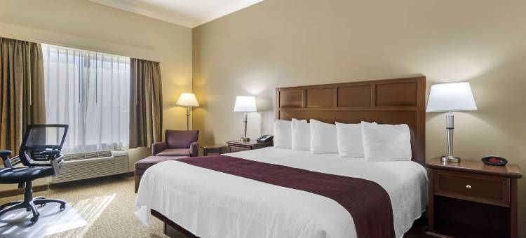 葡萄藤贝斯特韦斯特优质酒店(Best Western Plus Grapevine Inn)图片