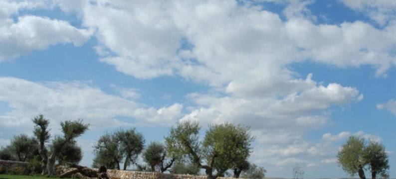 碧堤利莱酒店(Relais Albergo I Luoghi di Pitti)图片