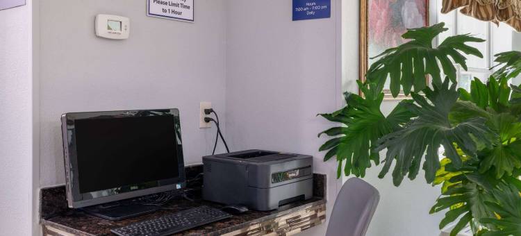 邓肯-斯帕坦堡麦客达套房酒店(Microtel Inn & Suites by Wyndham Duncan/Spartanburg)图片