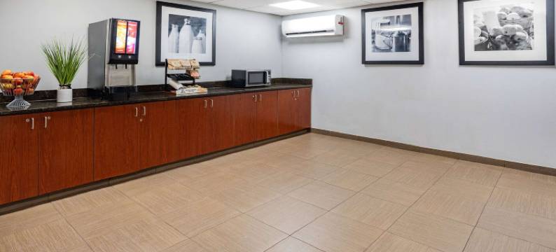 芒特劳雷尔速8酒店(Super 8 by Wyndham Mount Laurel)图片