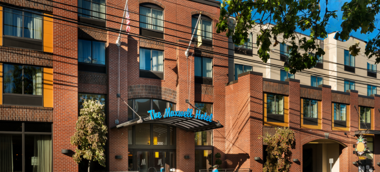 Staypineapple-麦克斯韦酒店-西雅图中心-西雅图(Staypineapple, the Maxwell Hotel, Seattle Center Seattle)图片