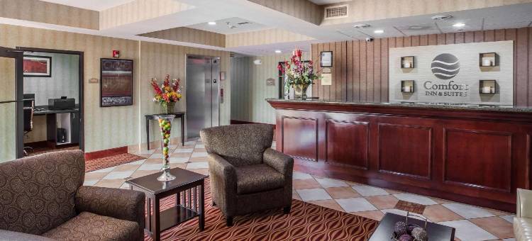 舒适套房酒店(Comfort Inn & Suites)图片