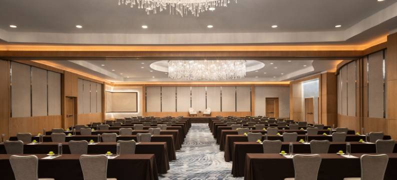 劳德代尔堡丽思卡尔顿酒店(The Ritz-Carlton, Fort Lauderdale)图片