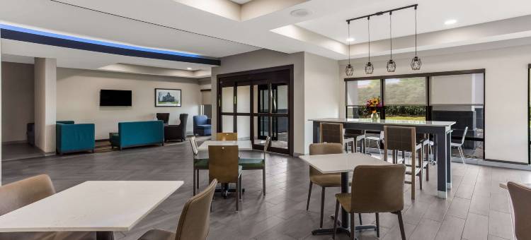 布恩波纳伊斯 - 坎卡基美茵斯坦套房酒店(MainStay Suites Bourbonnais - Kankakee)图片