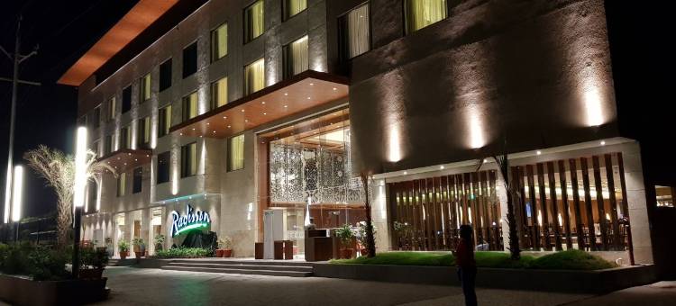 瓜廖尔丽筠酒店(Radisson Gwalior)图片